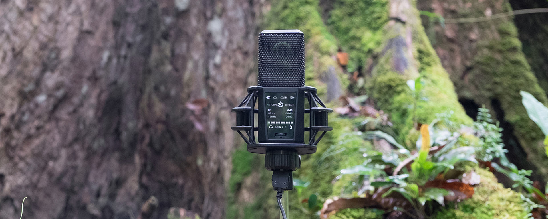 DGT 650 USB mic with built-in interface